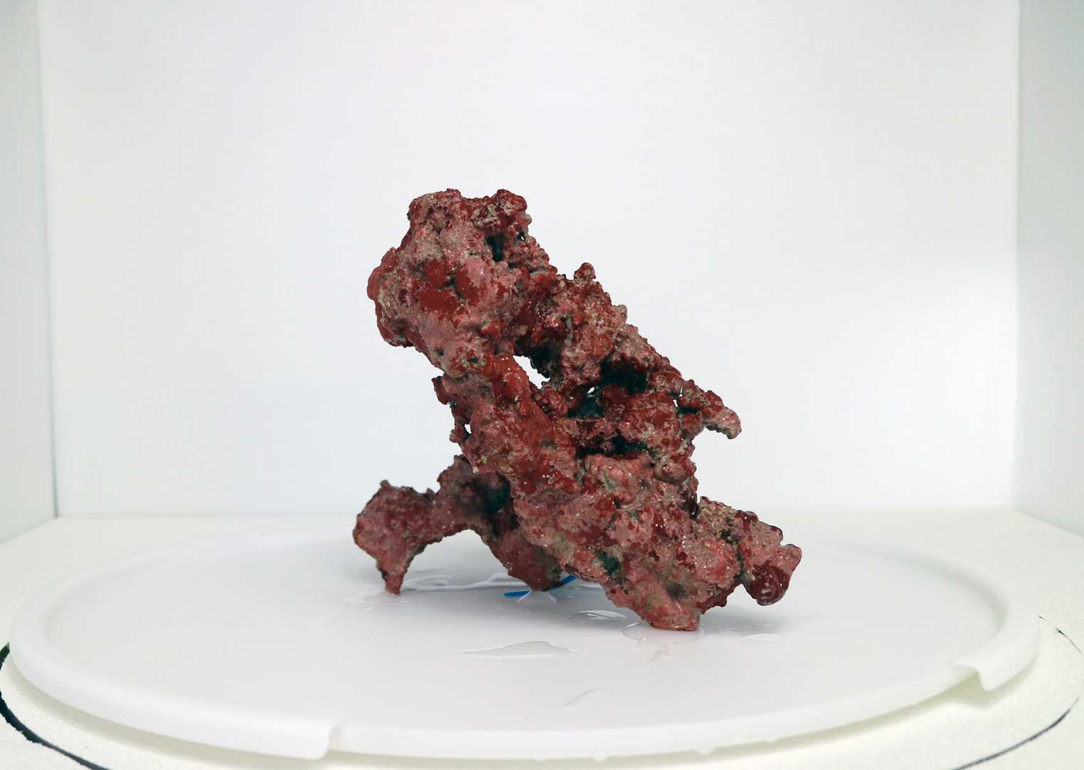 リーフロック	0.959	kg	【	C	108	】