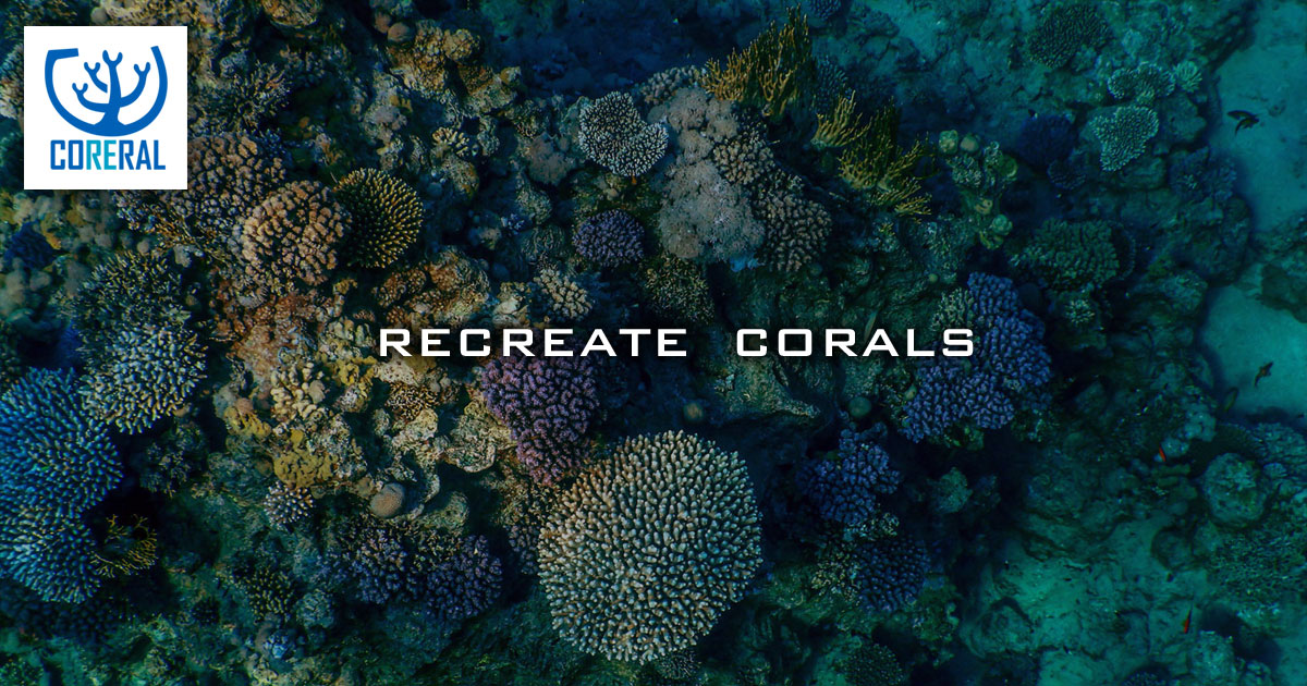 Q セメント成形による人工ライブロックのつくりかたを教えてください Coreral